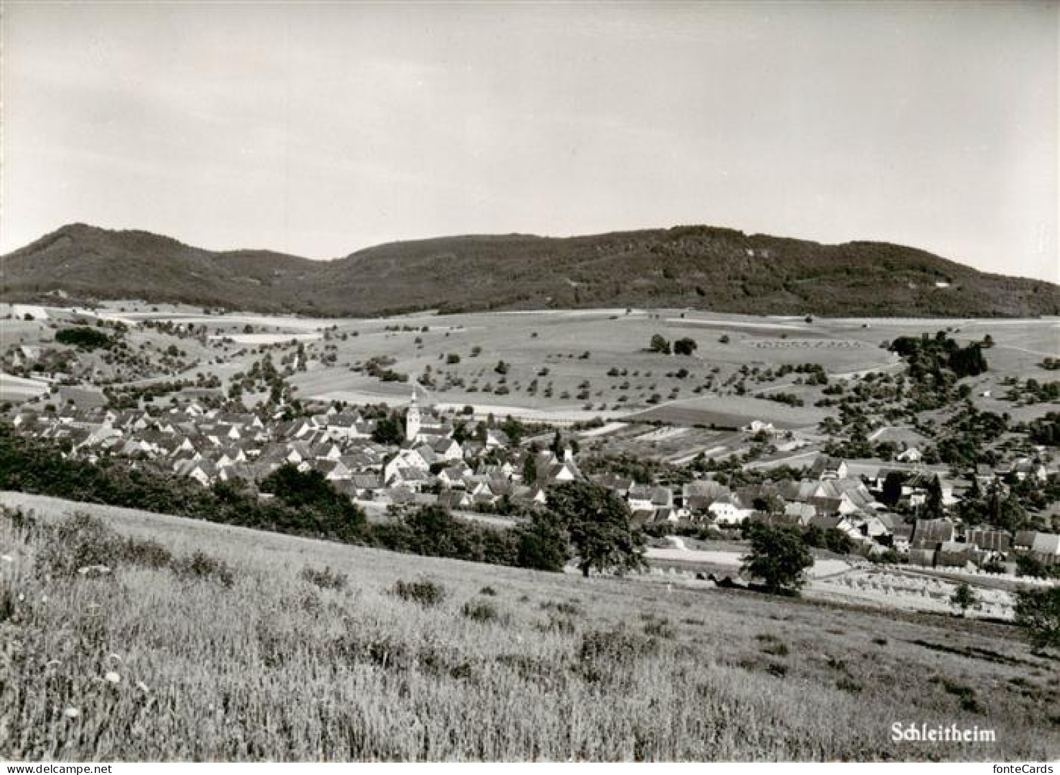 Schleitheim SH Panorama