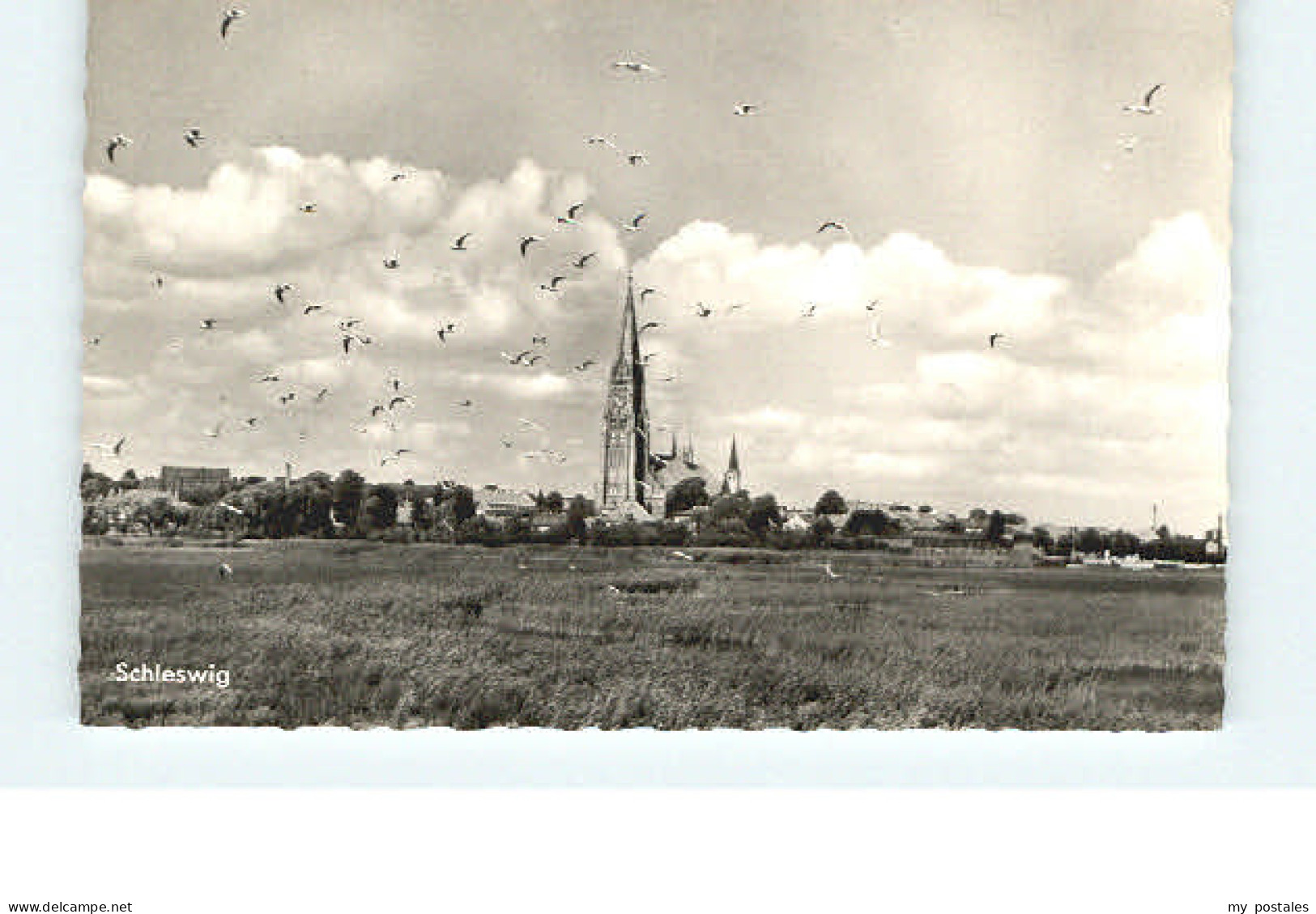 Schleswig Holstein Schleswig