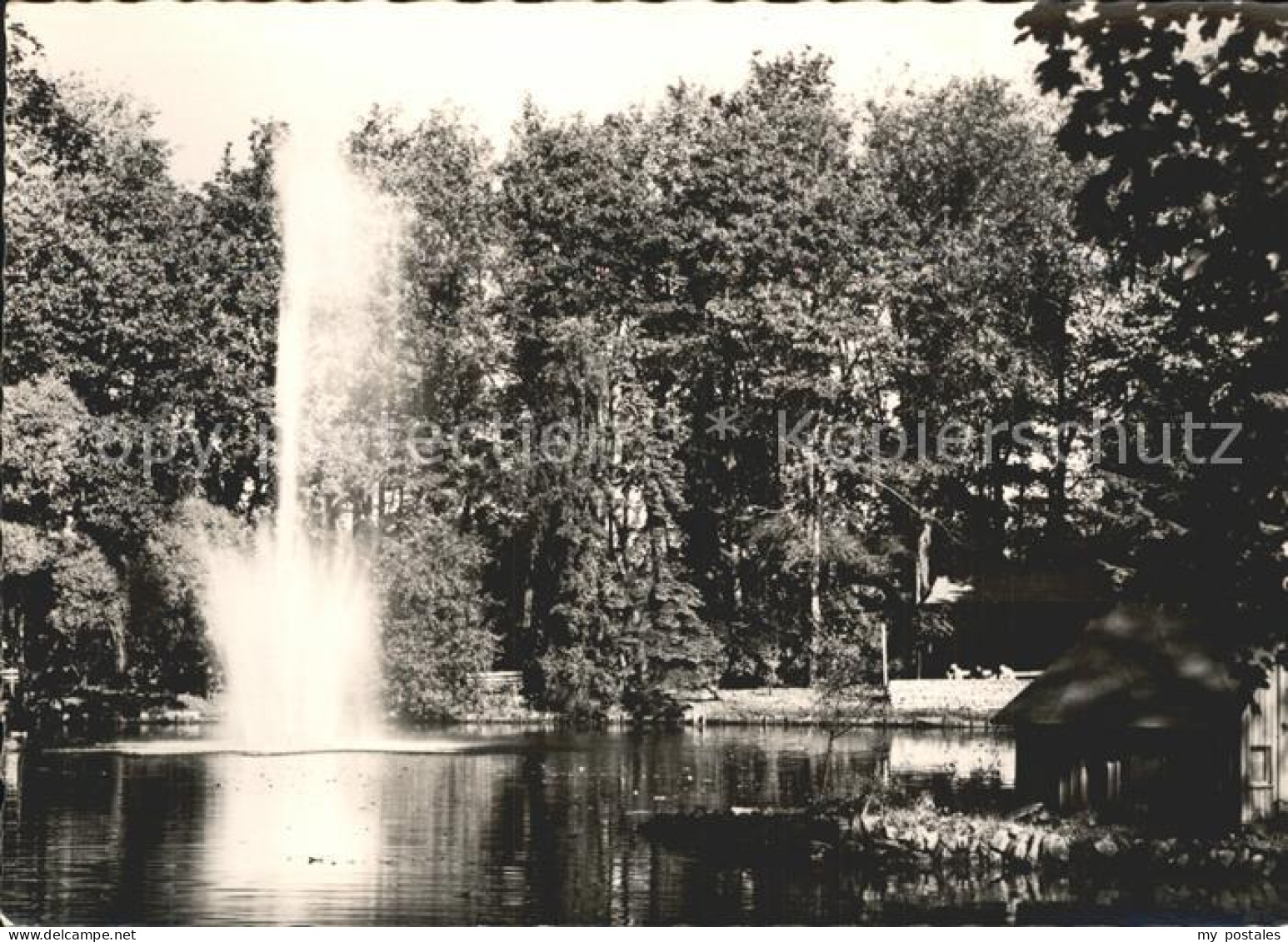 Schlettau Erzgebirge Teich mit Fontaine