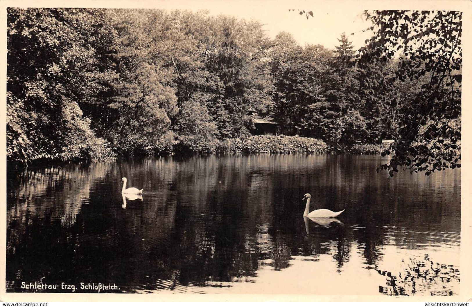 Schlettau Schloßteich gl1943 #195.812