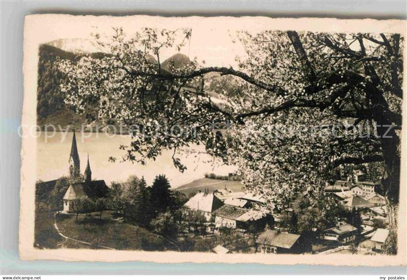 Schliersee Teilansicht