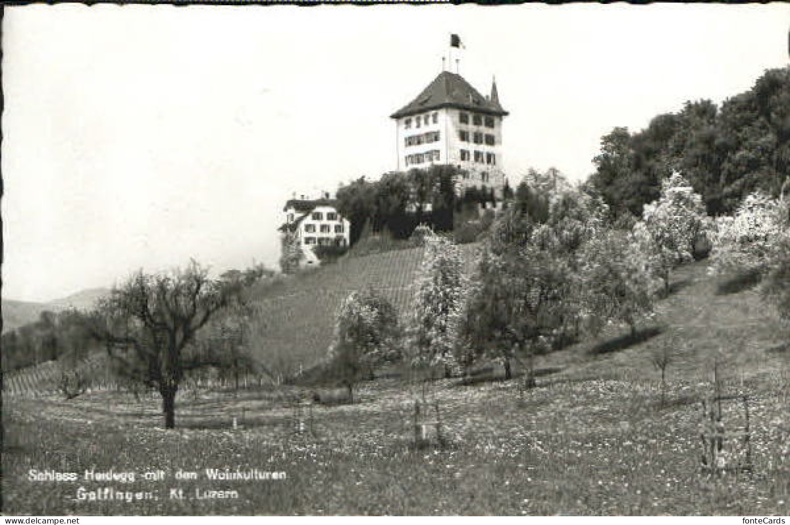 Schloss Heidegg bei Gelfingen x 1962