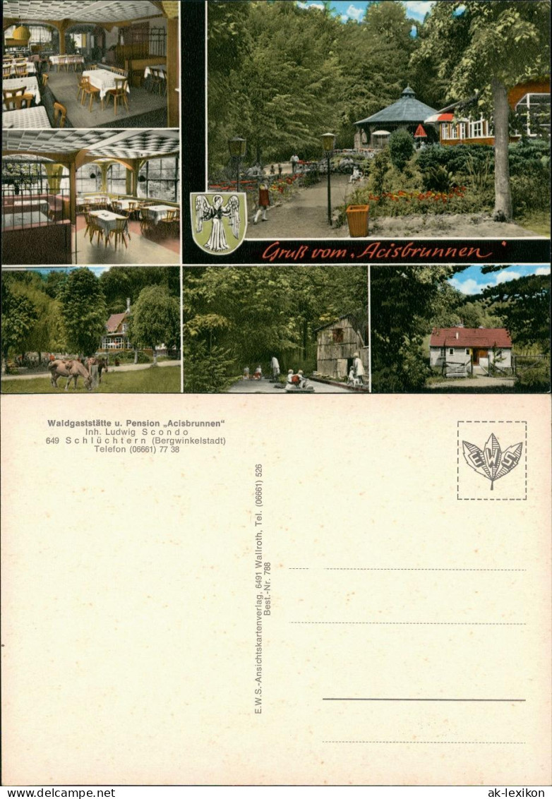 Schlüchtern (Bergwinkelstadt) Waldgaststätte u. Pension Acisbrunnen  1970
