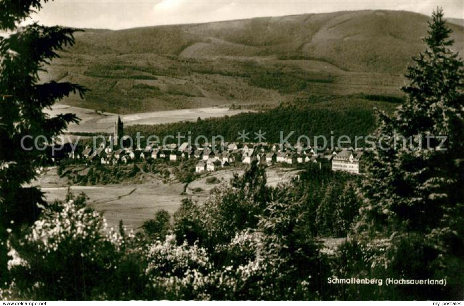 Schmallenberg Panorama
