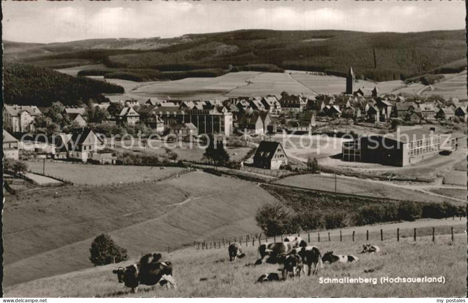 Schmallenberg Panorama