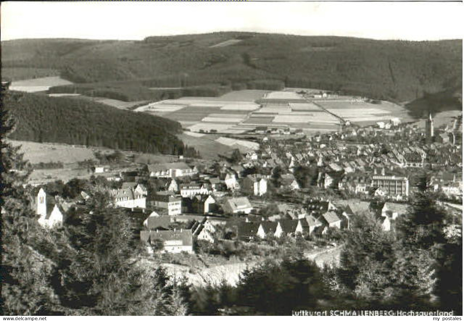Schmallenberg  x 1977