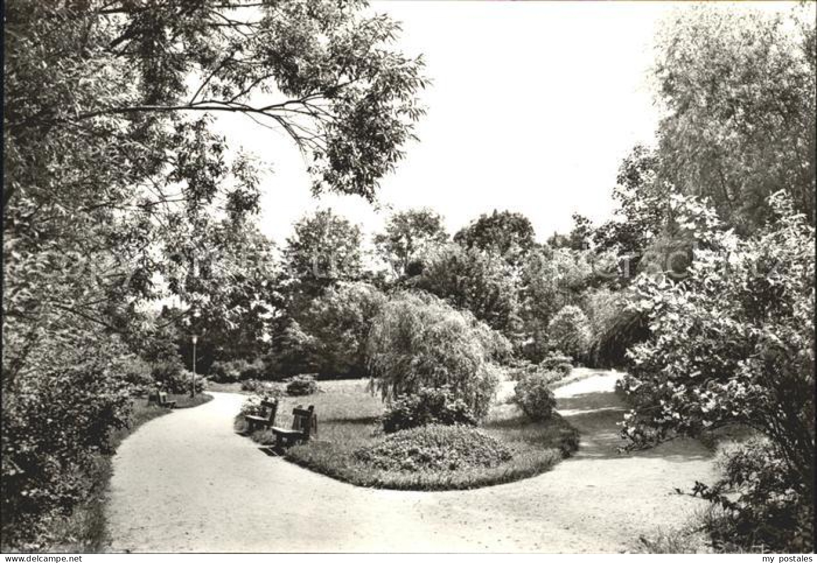 Schmiedeberg Bad Stadtpark