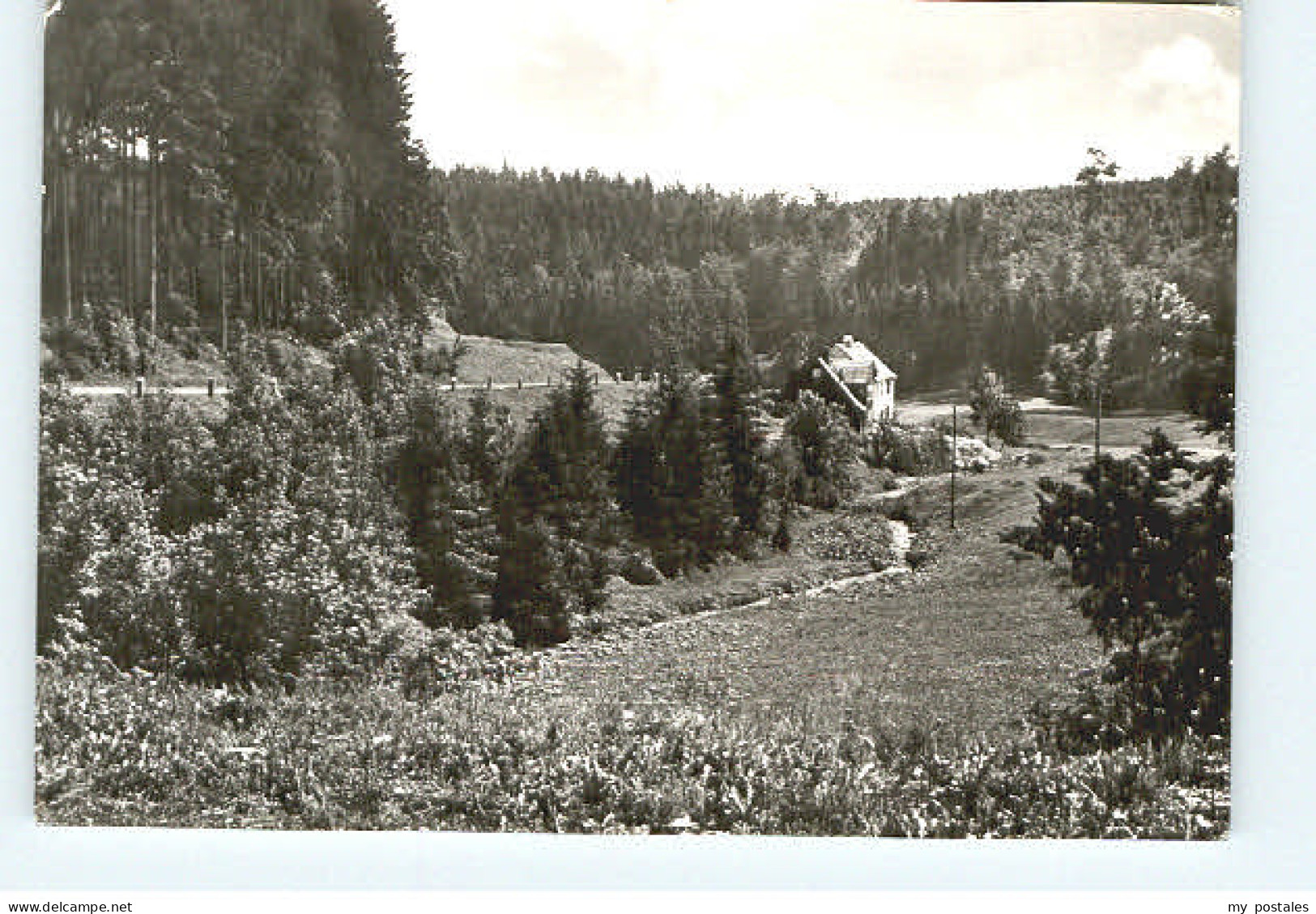 Schmiedefeld Rennsteig Alten Hammer