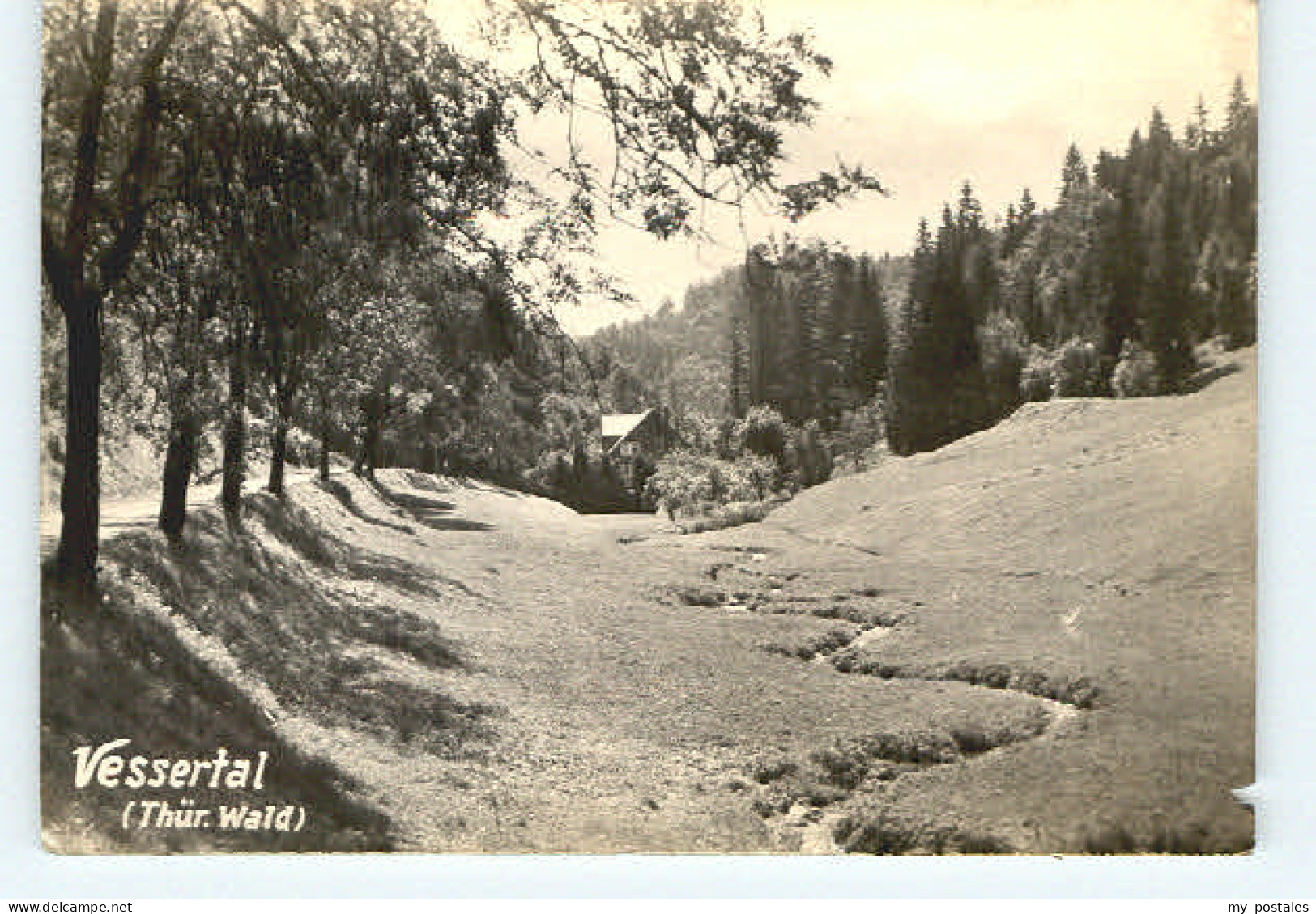 Schmiedefeld Rennsteig Vessertal