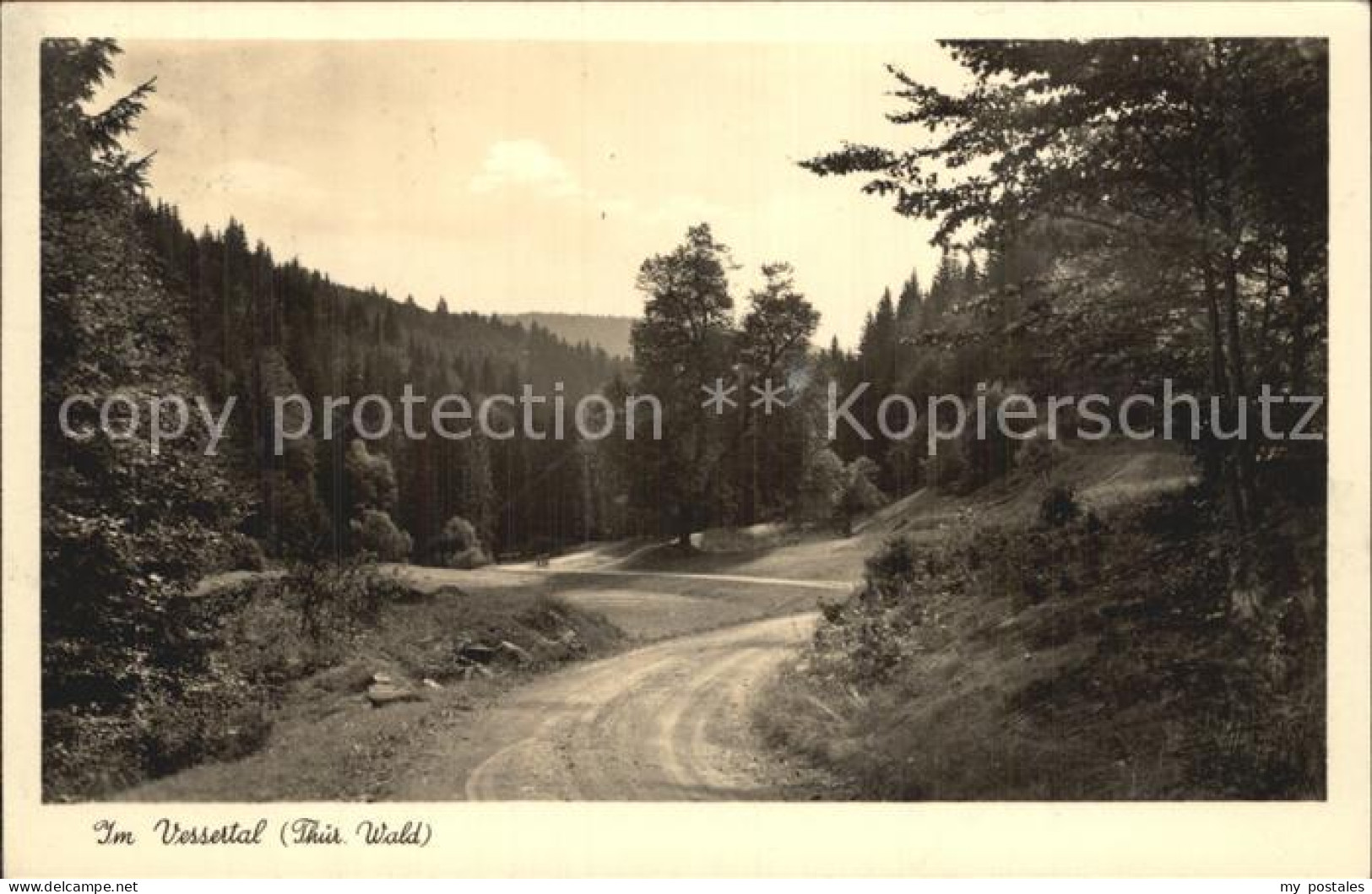 Schmiedefeld Rennsteig Vessertal