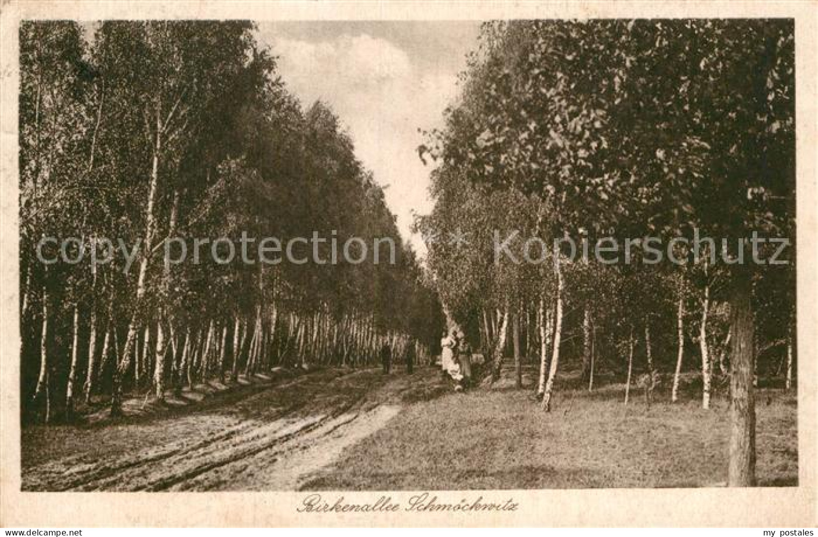 Schmoeckwitz Birkenallee