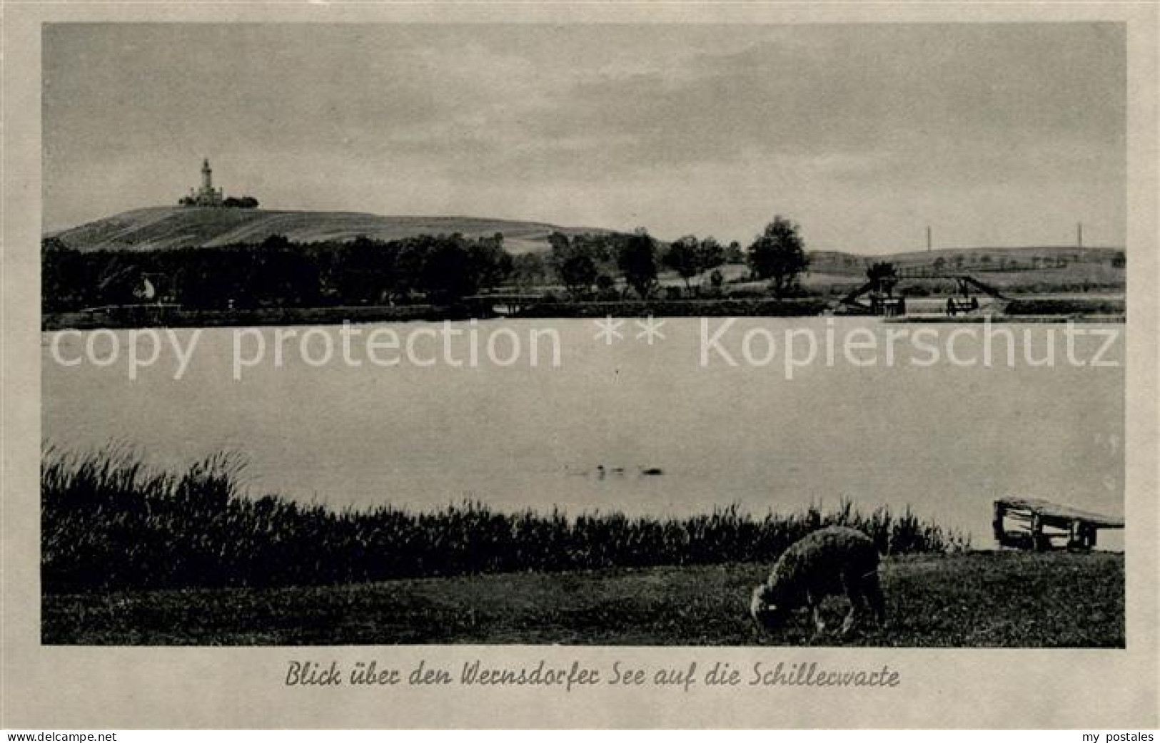 Schmoeckwitz Blick ueber den Wernsdorfer See auf die Schillerwarte Gosener Berge