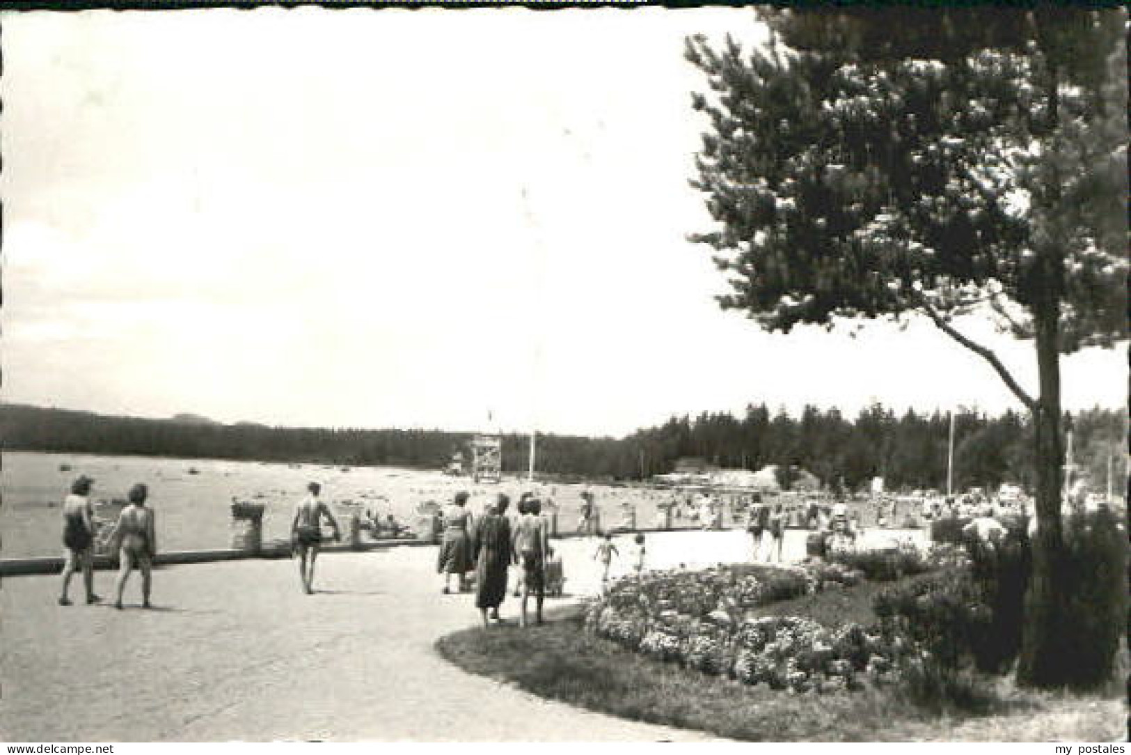 Schneeberg Erzgebirge Schneeberg Teich x 1950