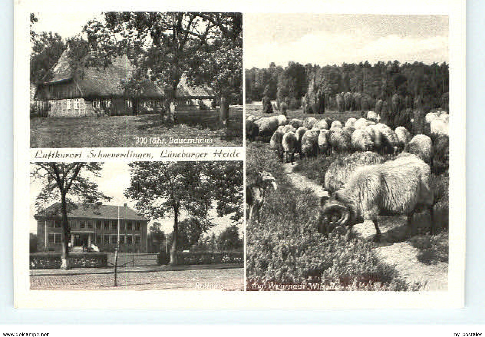 Schneverdingen