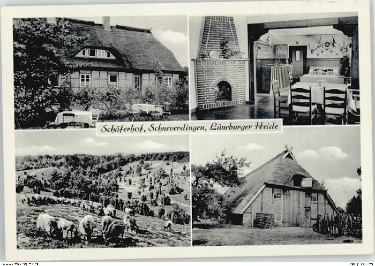 Schneverdingen Schaeferhof