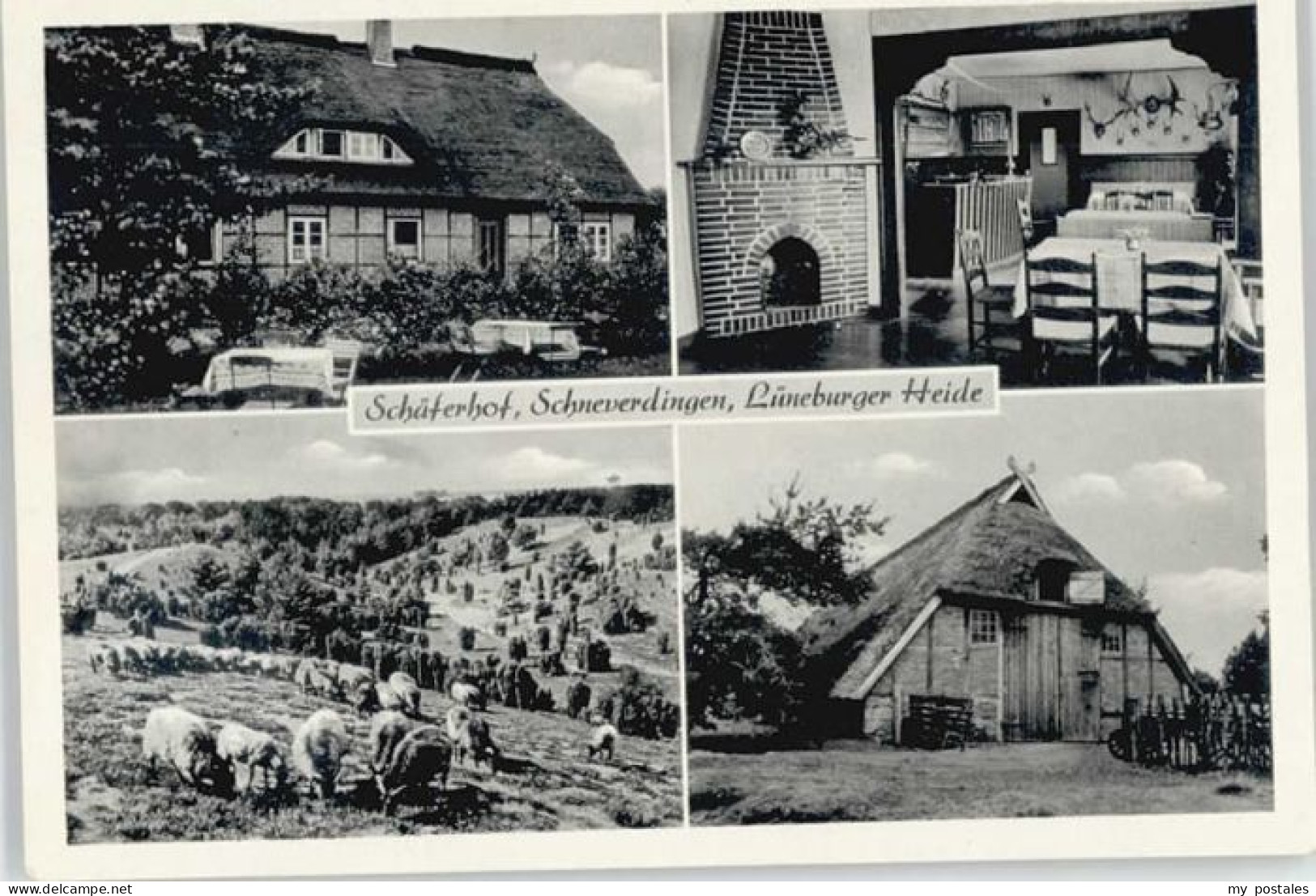Schneverdingen Schaeferhof