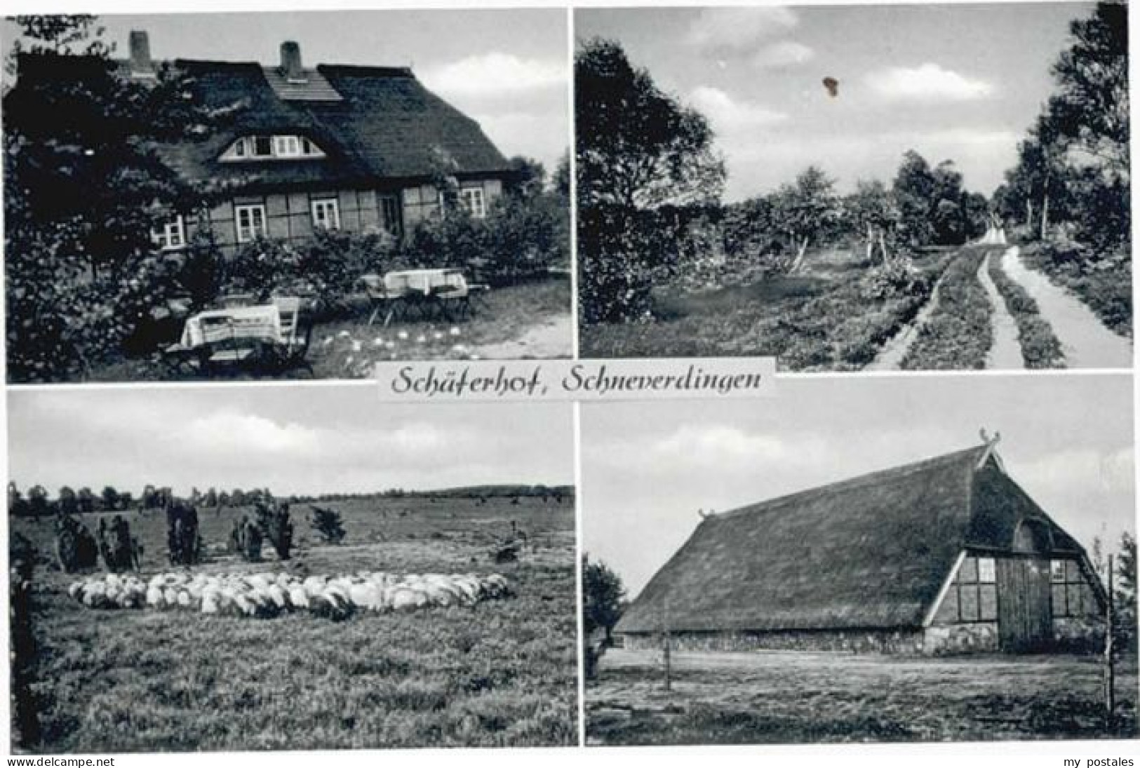 Schneverdingen Schaeferhof