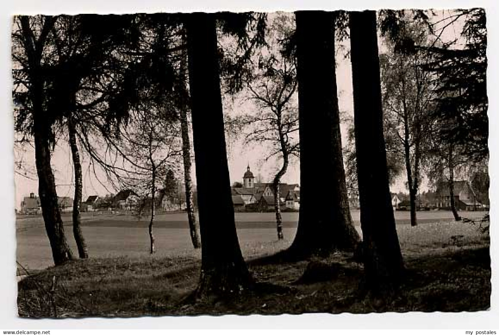 Schoemberg Schwarzwald Schoemberg