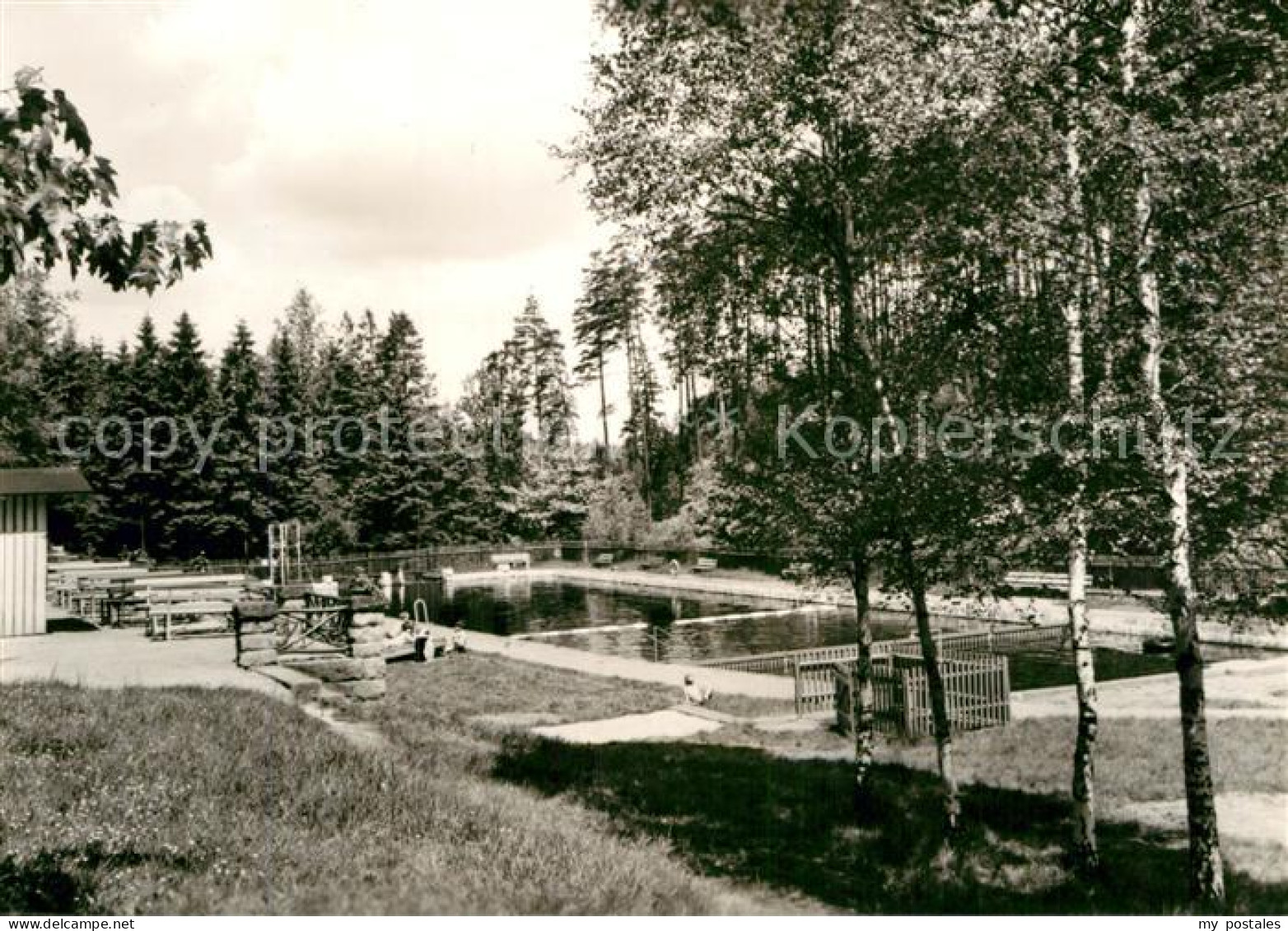 Schoena Bad Schandau Waldbad