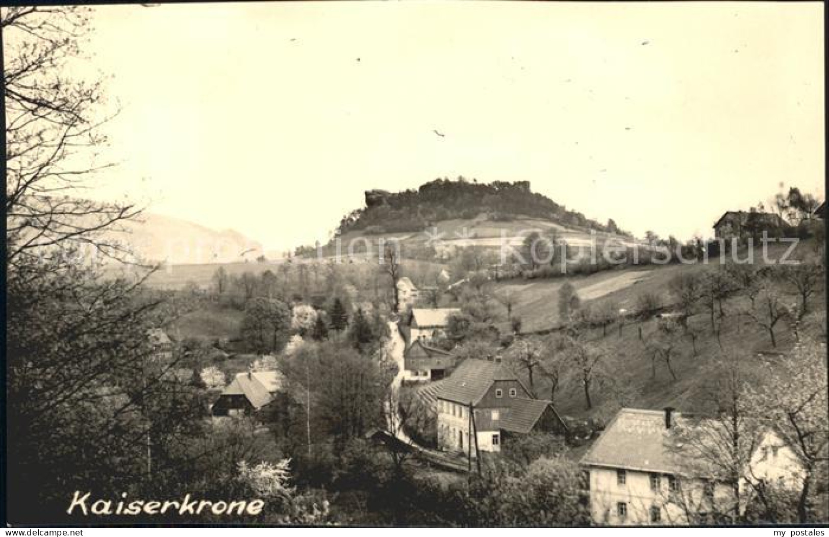 Schoena Elbe Kaiserkrone