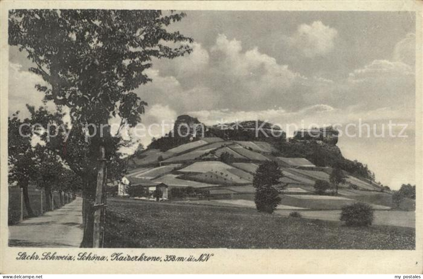 Schoena Elbe Kaiserkrone Elbsandsteingebirge