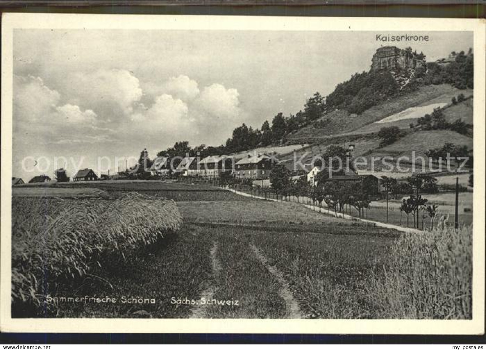 Schoena Elbe mit Kaiserkrone