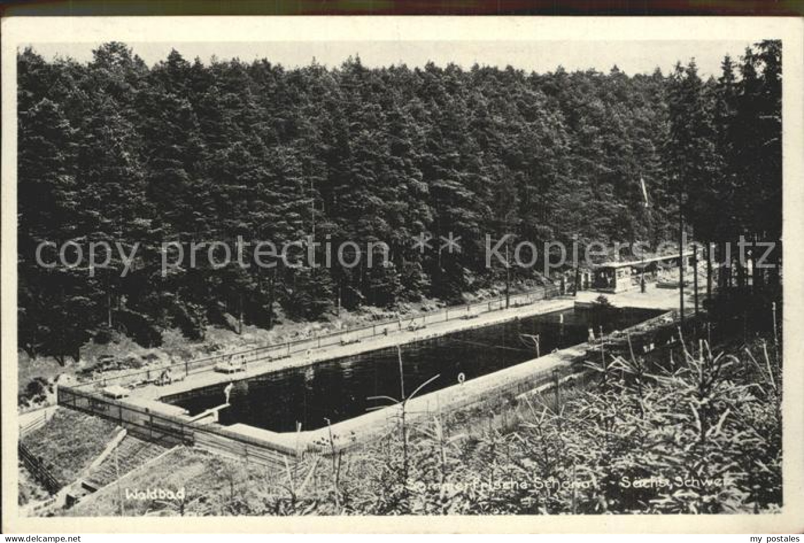 Schoena Elbe Waldbad