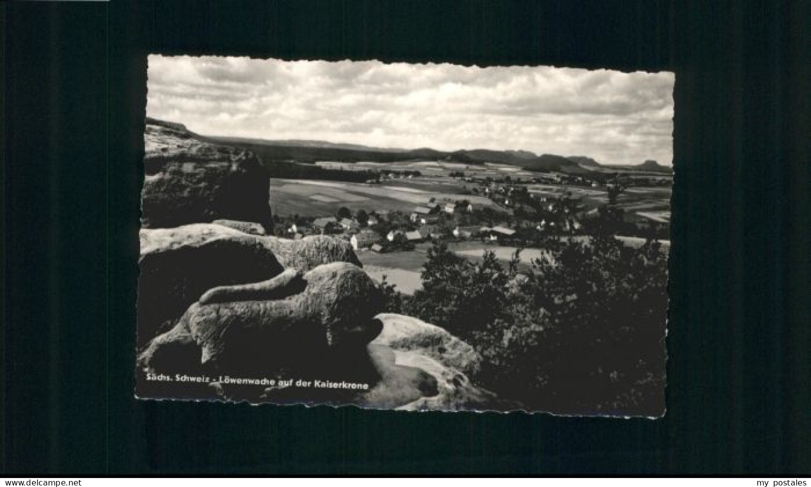 Schoena oewenwache Kaiserkrone *