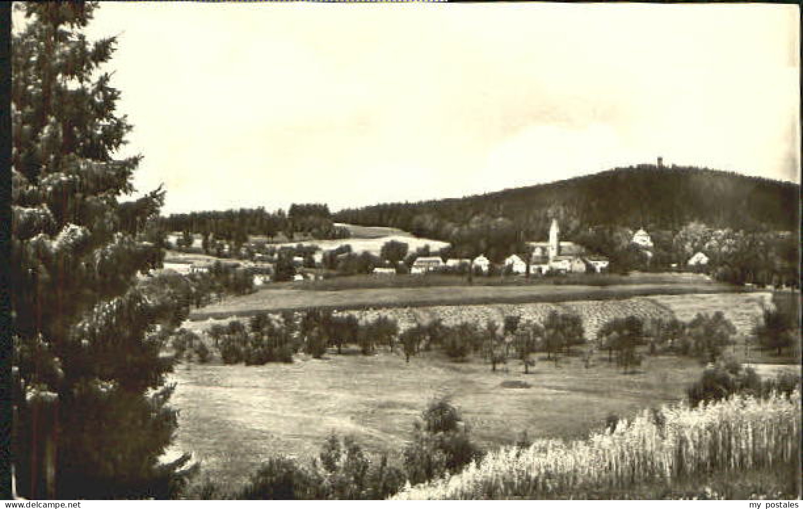 Schoenberg Schoenberg