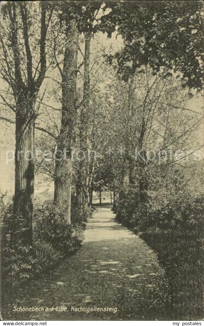 Schoenebeck Elbe Nachtigallensteig