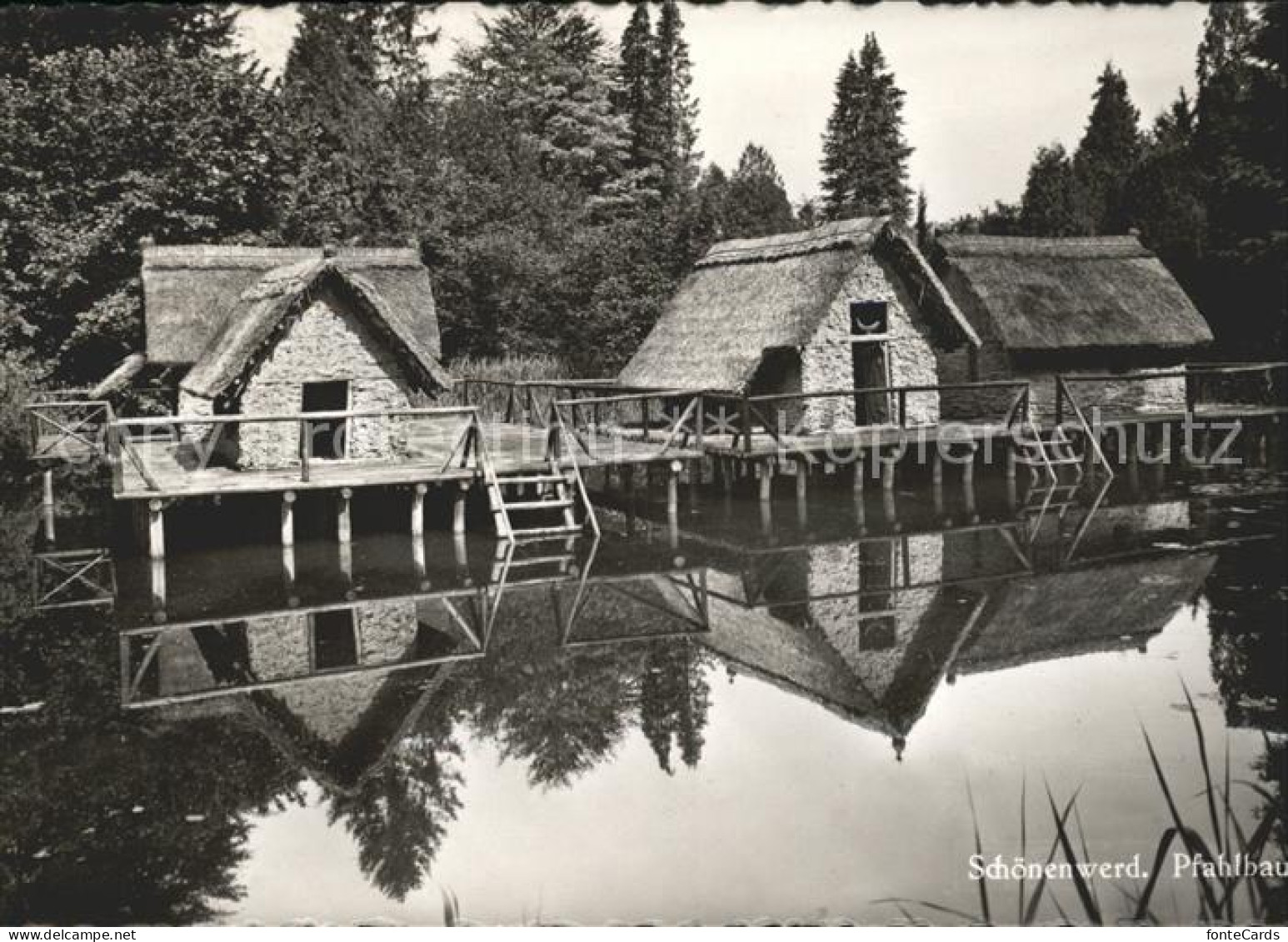 Schoenenwerd Pfahlbauten