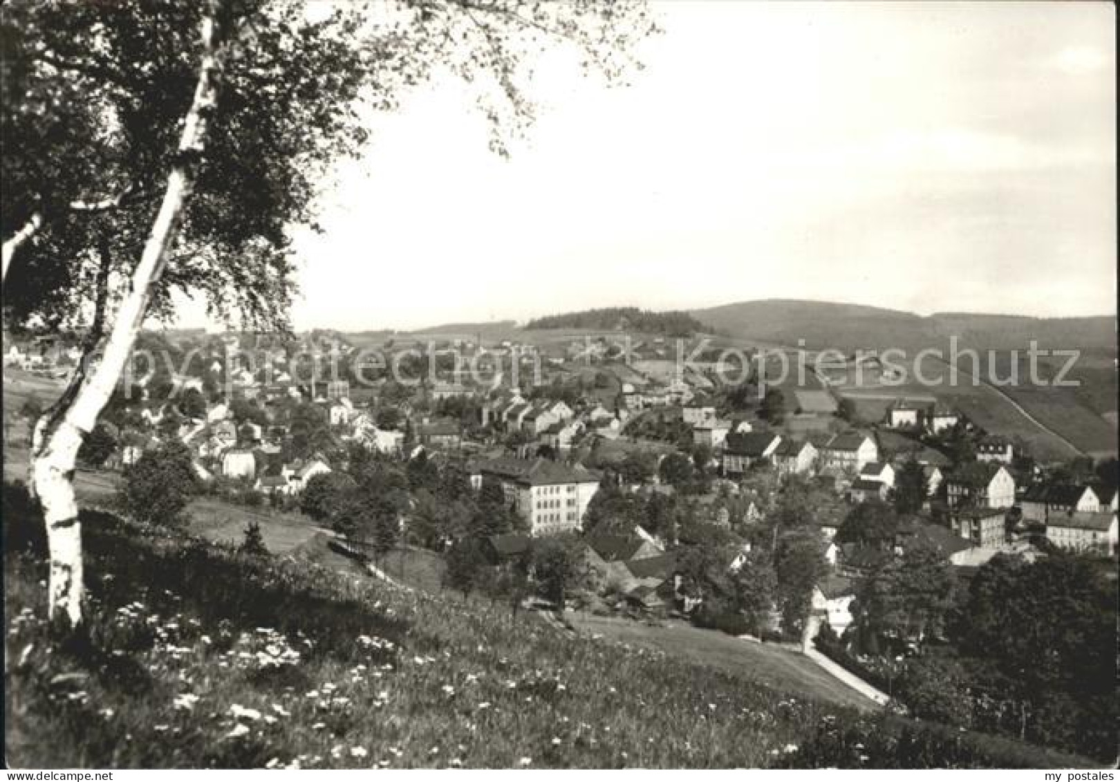 Schoenheide Erzgebirge Dorf