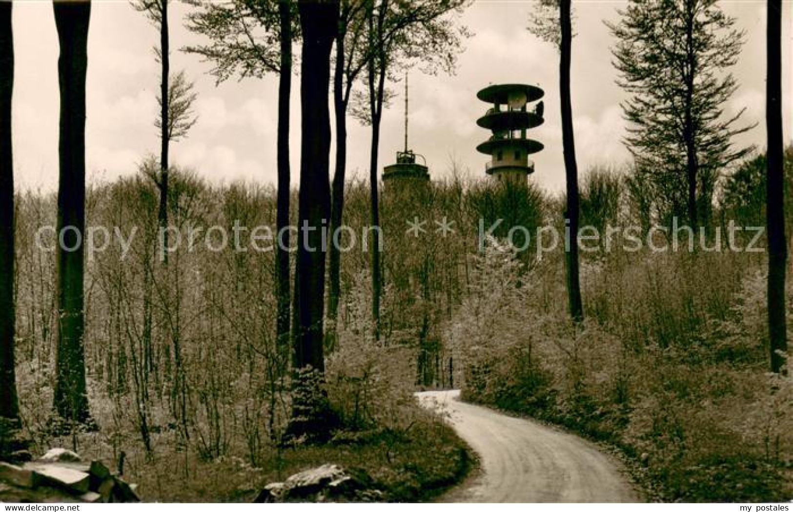 Schoenwalde Bungsberg Waldrestaurant Bungsberg Aussichtsturm