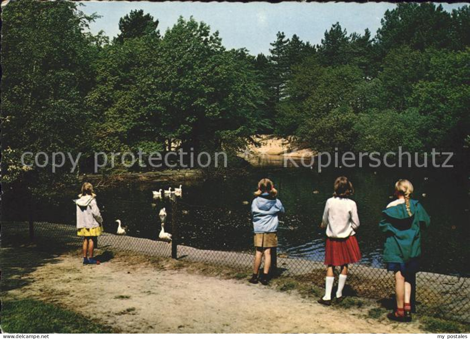 Schoorl Eendenvijver in de Nollen
