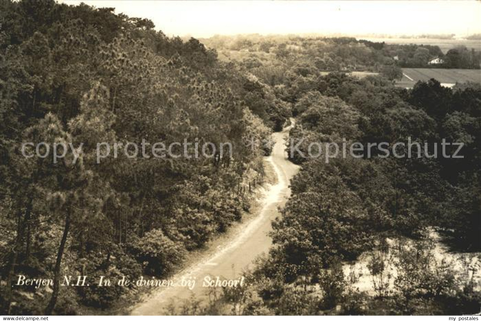 Schoorl In de duinen Duenen