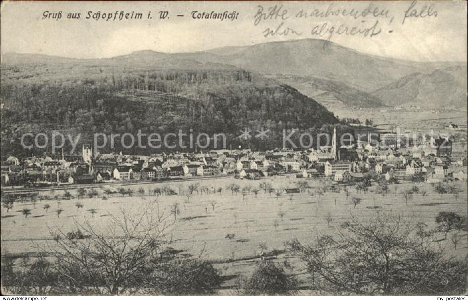Schopfheim Totalansicht