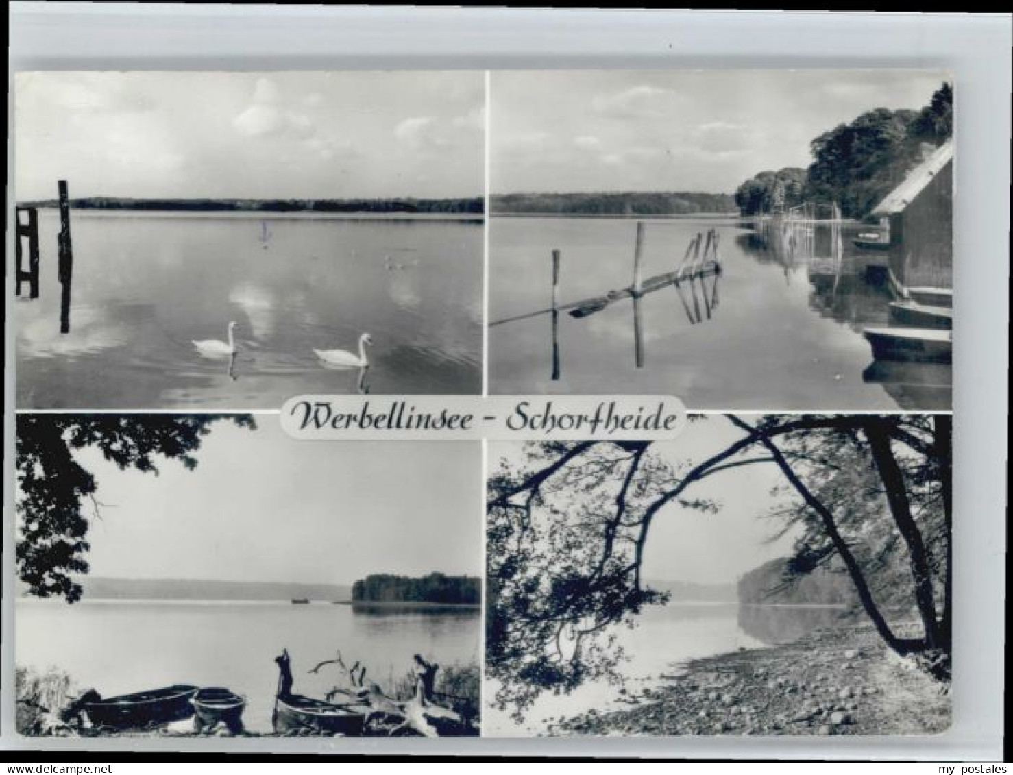 Schorfheide Werbellinsee