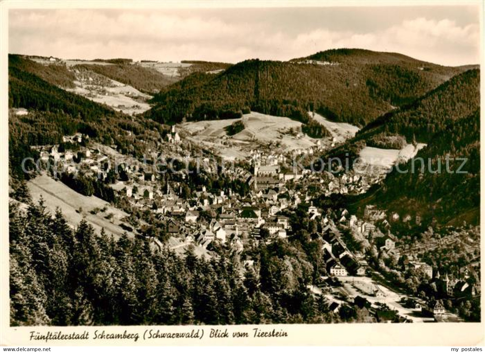 Schramberg BW Blick vom Tierstein