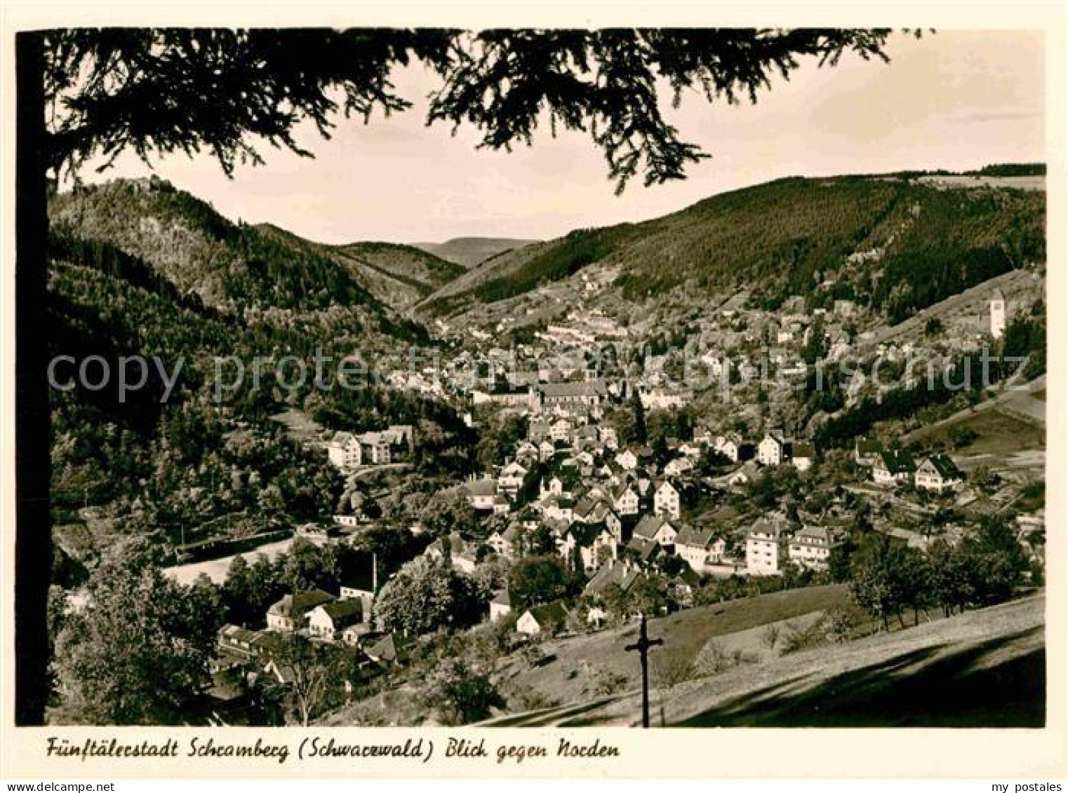 Schramberg BW Fuenftaelerstadt Panorama