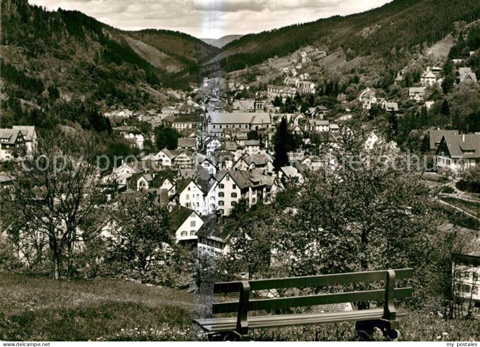 Schramberg BW Tischneckerberg
