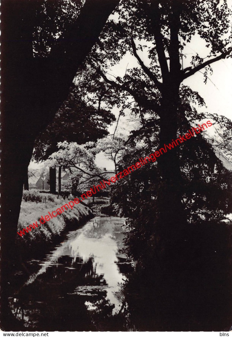 Schrans gracht - Vorselaar