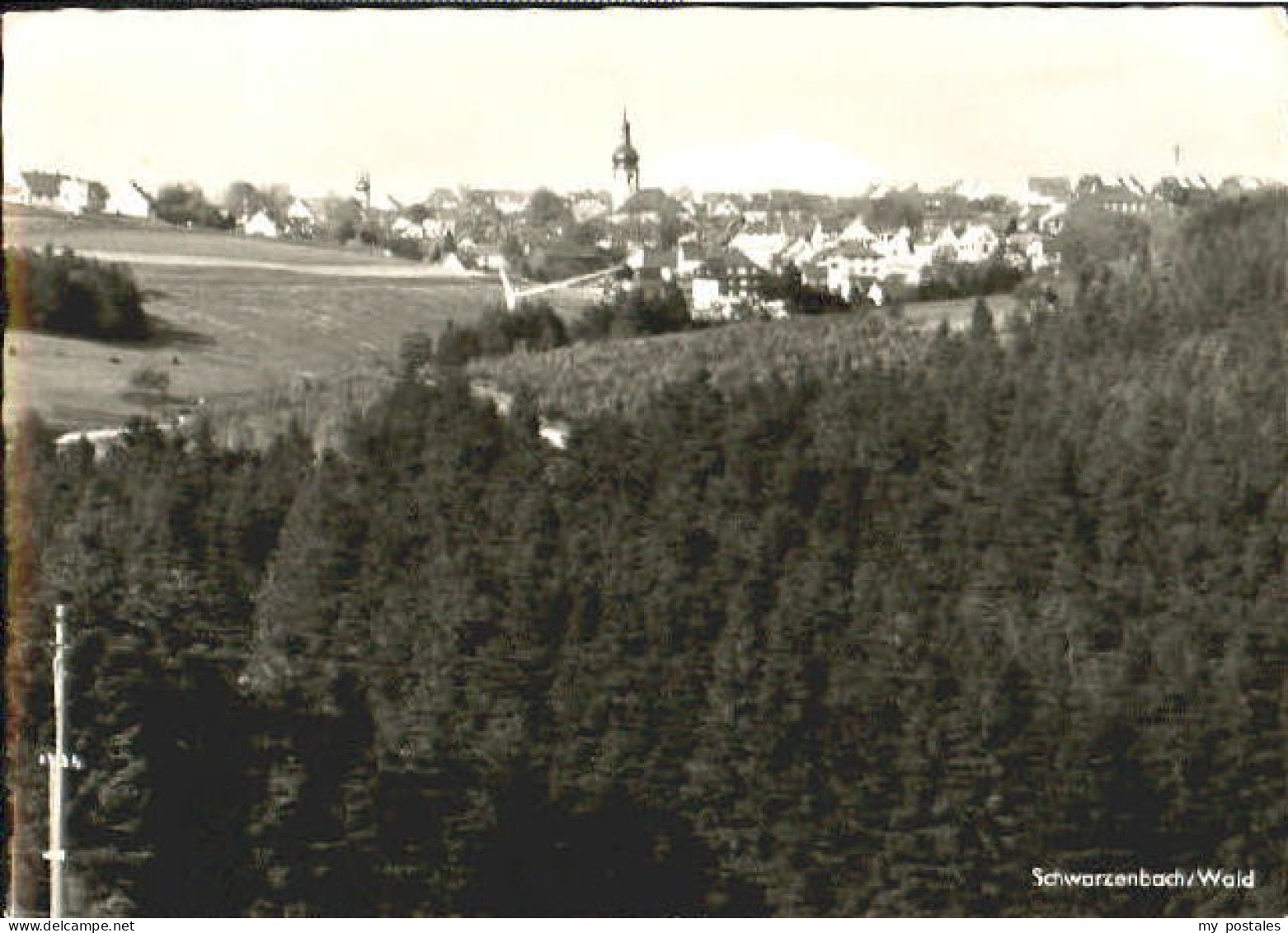 Schwarzenbach Wald Schwarzenbach Wald