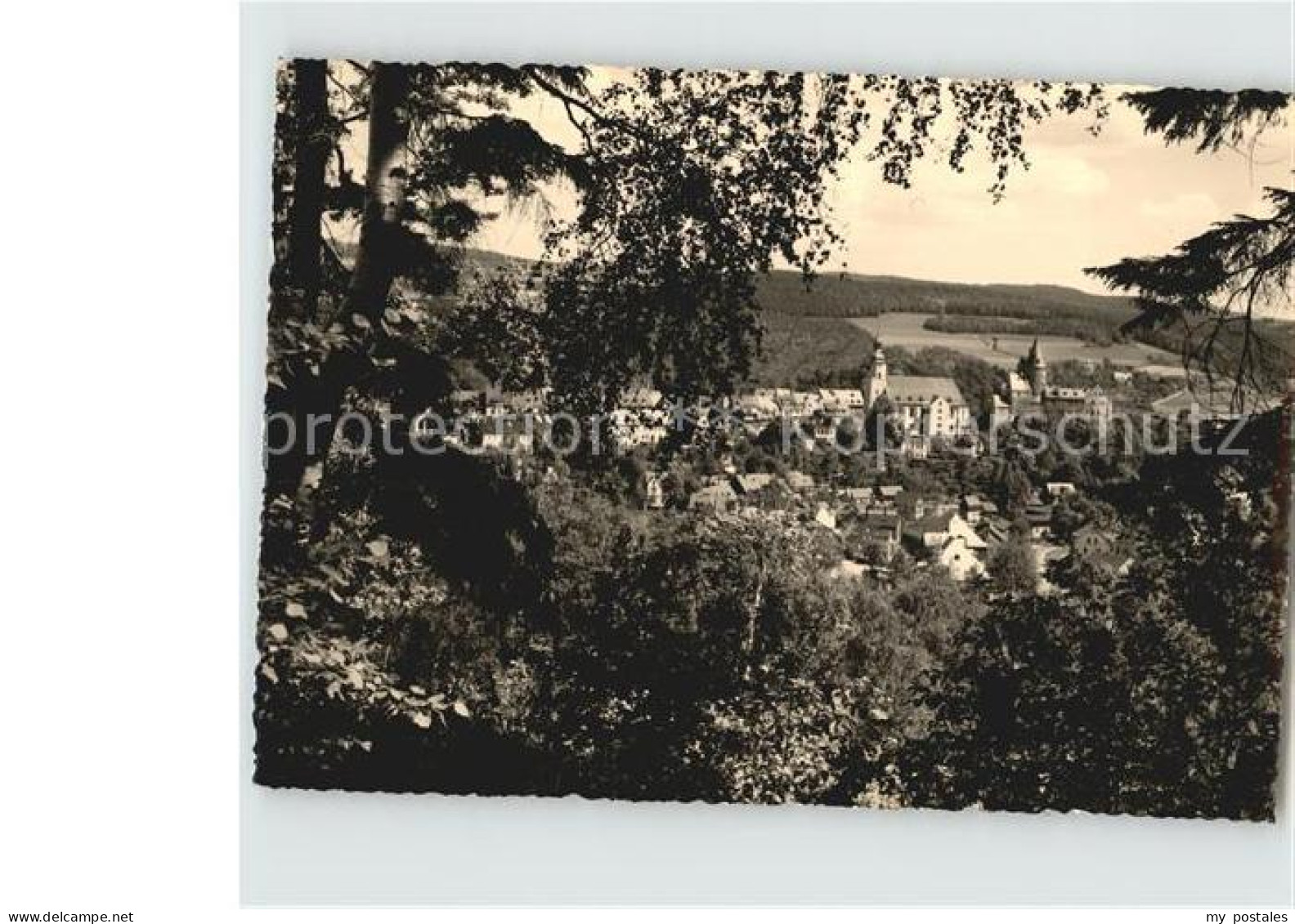 Schwarzenberg Erzgebirge Gesamtansicht