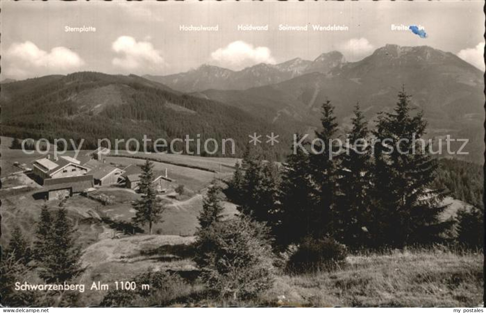 Schwarzenberg Miesbach Schwarzenberg Alm