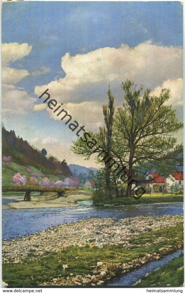 Schwarzwald - Wolfach - Künstler-Ansichtskarte