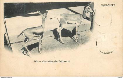 CPA Djibouti Gazelles de Djibouti