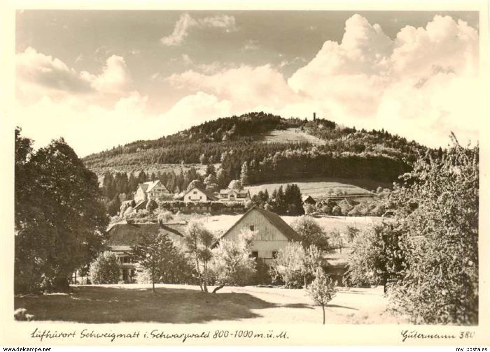 Schweigmatt Schopfheim Panorama