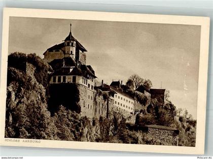 4663 Aarburg Foto AK Schloss - 39979393