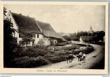 4313 Möhlin Foto AK - 13656817