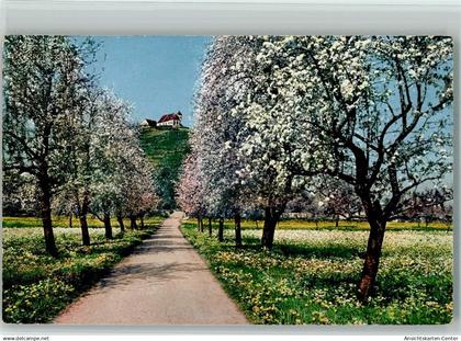10196434 - Staufen